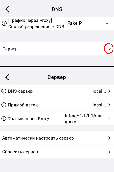 DNS