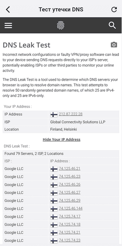 Проверка DNS в Karing